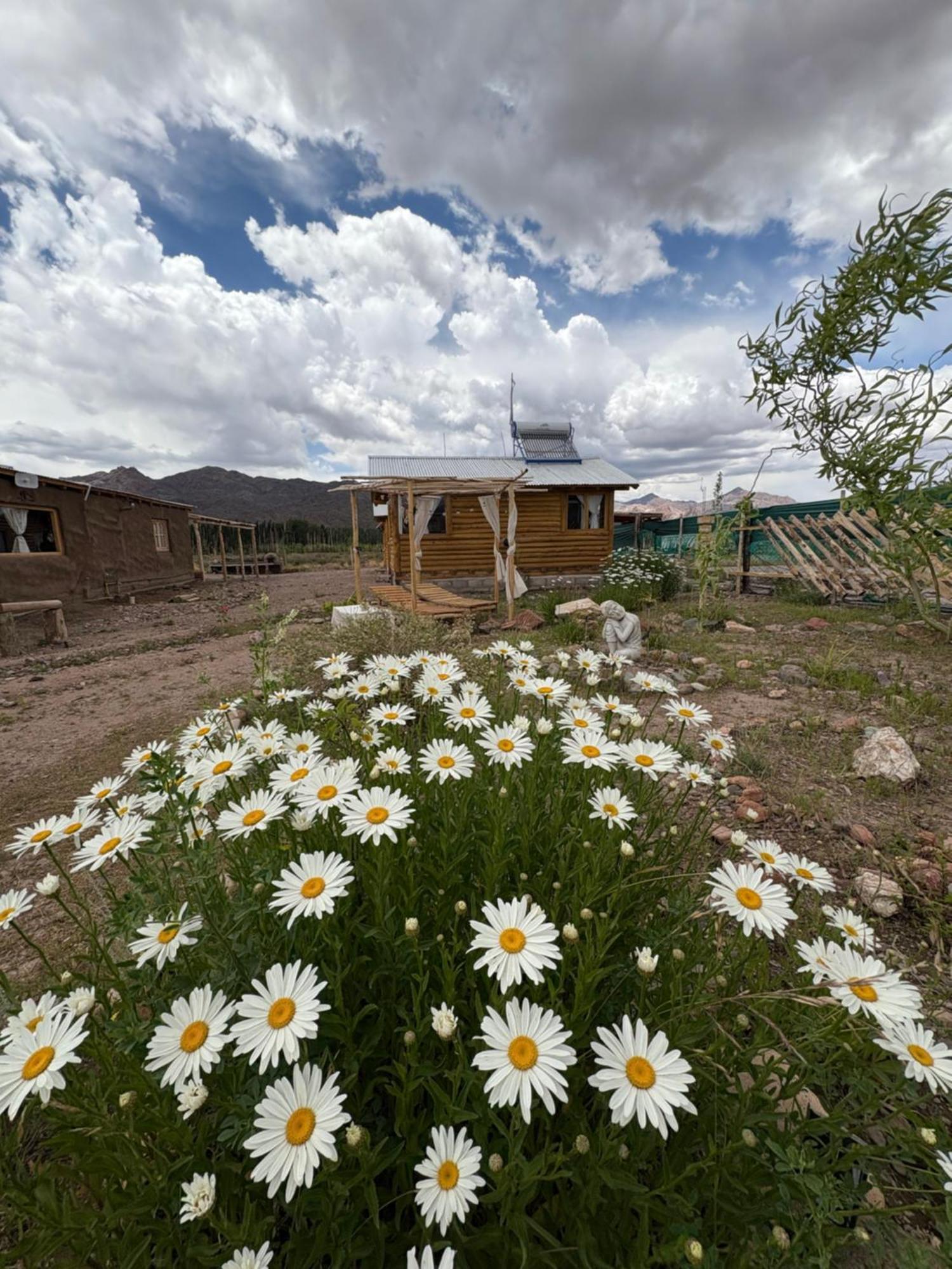 Paramitas Cabanas De Montana Uspallata Εξωτερικό φωτογραφία